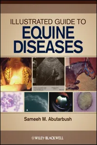 Illustrated Guide to Equine Diseases_cover