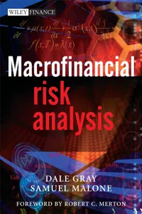 Macrofinancial Risk Analysis_cover