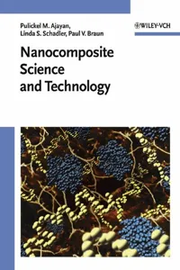 Nanocomposite Science and Technology_cover