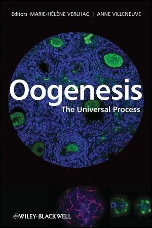 Book cover image for: Oogenesis