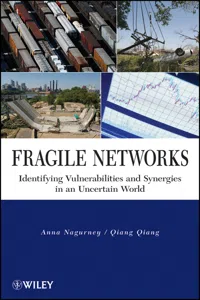 Fragile Networks_cover