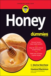 Honey For Dummies_cover