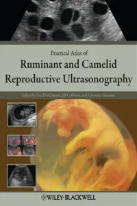 Practical Atlas of Ruminant and Camelid Reproductive Ultrasonography_cover