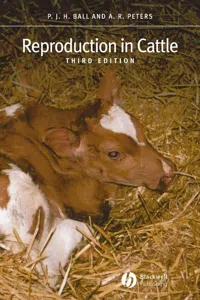 Reproduction in Cattle_cover