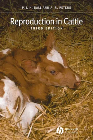 Reproduction in Cattle