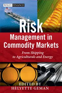 Risk Management in Commodity Markets_cover