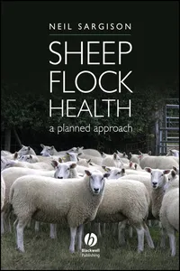 Sheep Flock Health_cover