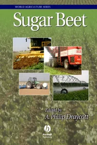 Sugar Beet_cover