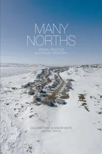 Many Norths_cover