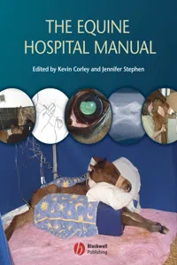 The Equine Hospital Manual_cover