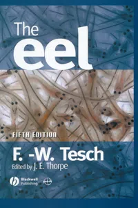 The Eel_cover