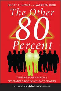 The Other 80 Percent_cover