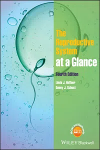 The Reproductive System at a Glance_cover