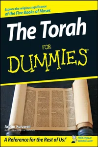 The Torah For Dummies_cover