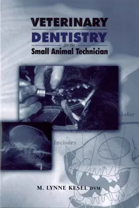 Veterinary Dentistry for the Small Animal Technician_cover