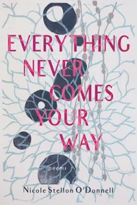 Everything Never Comes Your Way_cover