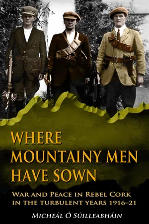 Where Mountainy Men Have Sown:War and Peace in Rebel Ireland 1916–21