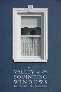 The Valley of the Squinting Windows_cover