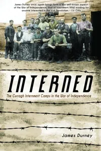 Interned_cover