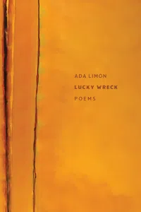 Lucky Wreck_cover