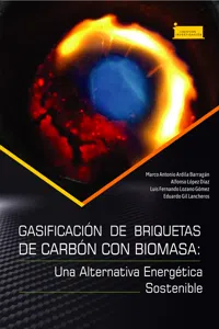 Gasificación de briquetas de carbón con biomasa:_cover