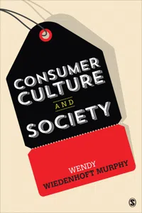 Consumer Culture and Society_cover