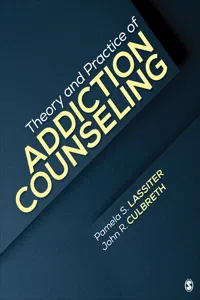 Theory and Practice of Addiction Counseling_cover