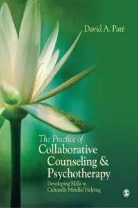 The Practice of Collaborative Counseling and Psychotherapy_cover