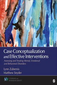 Case Conceptualization and Effective Interventions_cover