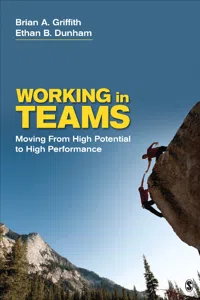 Working in Teams_cover