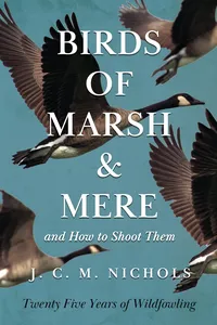 Birds of Marsh and Mere and How to Shoot Them - Twenty Five Years of Wildfowling_cover
