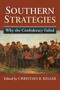Southern Strategies_cover
