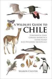 A Wildlife Guide to Chile_cover