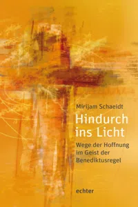 Hindurch ins Licht_cover