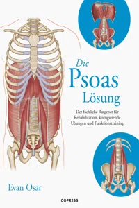 Die Psoas-Lösung_cover