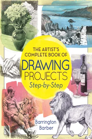 The Artist's Complete Book of Drawing Projects Step-by-Step