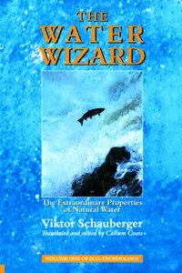 The Water Wizard – The Extraordinary Properties of Natural Water_cover