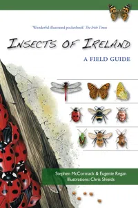 Insects of Ireland_cover