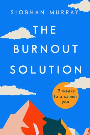 The Burnout Solution