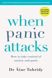 When Panic Attacks_cover