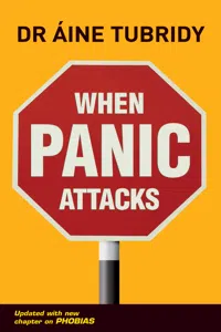 When Panic Attacks_cover