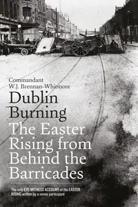 Dublin Burning: The Easter Rising From Behind the Barricades_cover