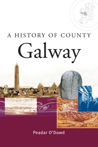 A History of County Galway_cover