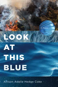 Look at This Blue_cover