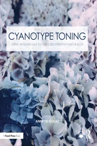 Cyanotype Toning_cover