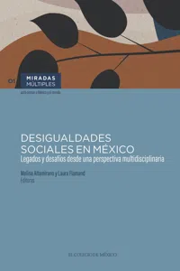 Desigualdades sociales en México._cover