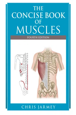 The Concise Book of Muscles, Fourth Edition