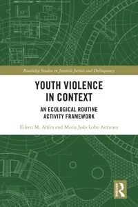 Youth Violence in Context_cover