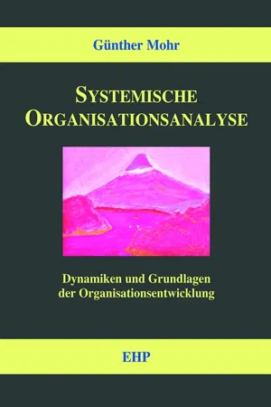 Systemische Organisationsanalyse