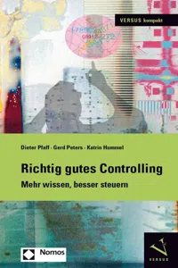 Richtig gutes Controlling_cover